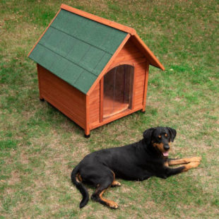 Zastřešená dřevěná psí bouda Spike Comfort s dvířky